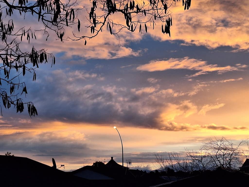 Looking over the Nelson Skies